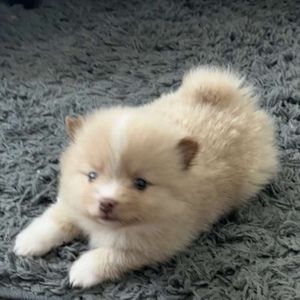 Meet your Posher, Kaitlyn